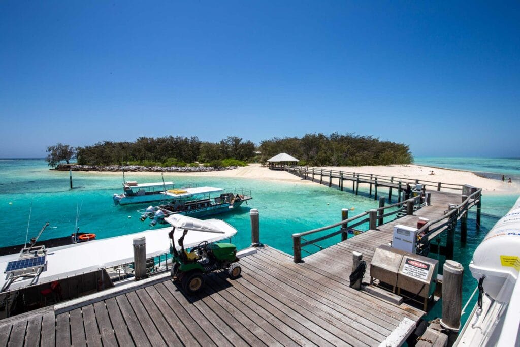 heron-island-great-barrier-reef
