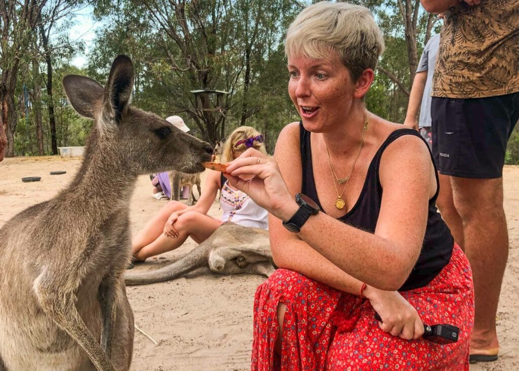 Agnes-Water-kangaroo-sanctuary - Londoner In Sydney Agnes-Water-kangaroo-sanctuary