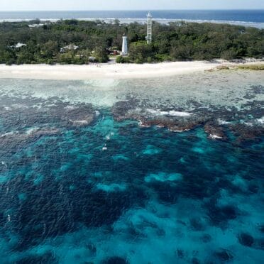 reasons-to-visit-Lady-Elliot-Island-2