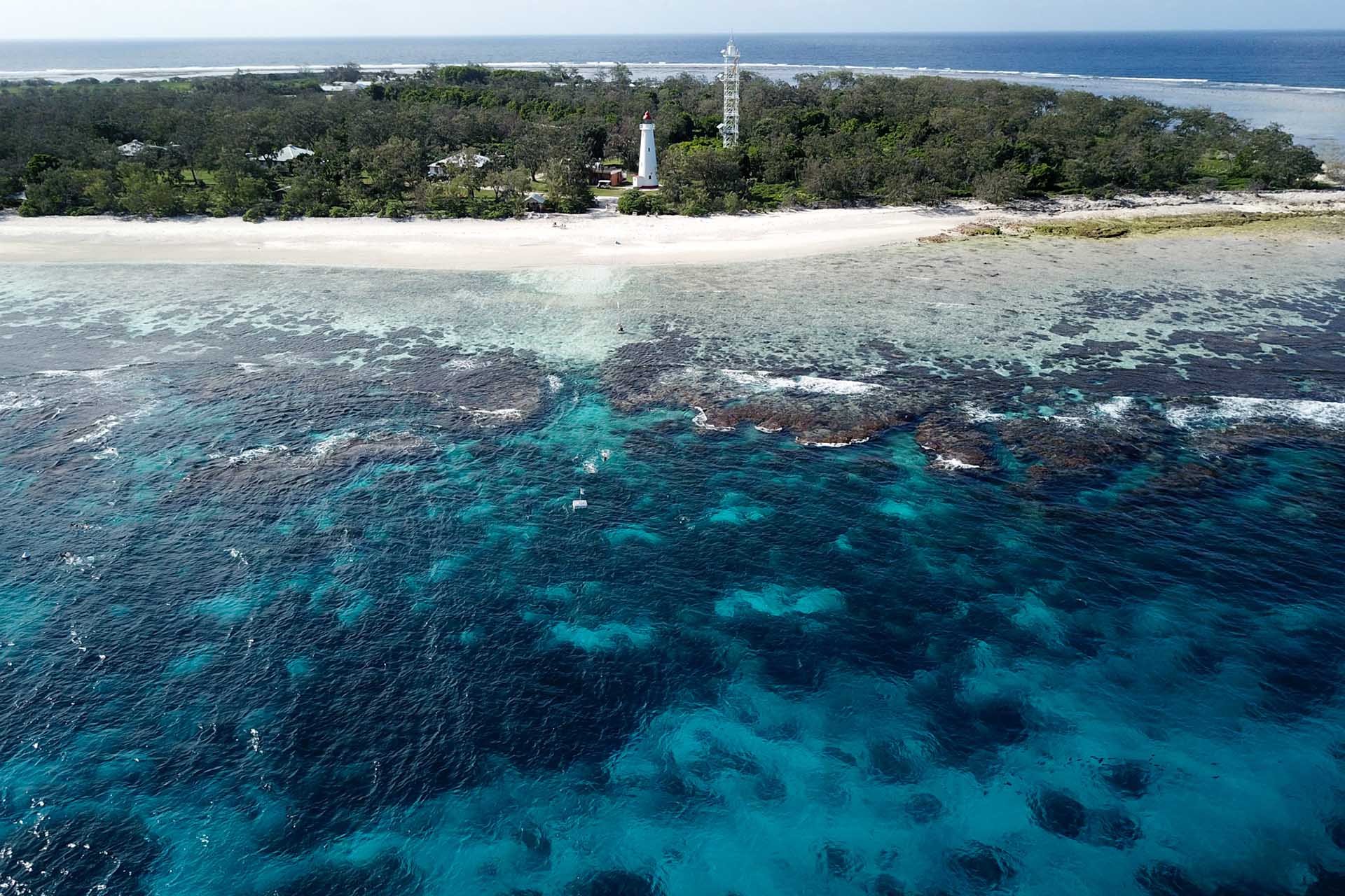 reasons-to-visit-Lady-Elliot-Island-2 - Londoner In Sydney reasons-to-visit-Lady-Elliot-Island-2