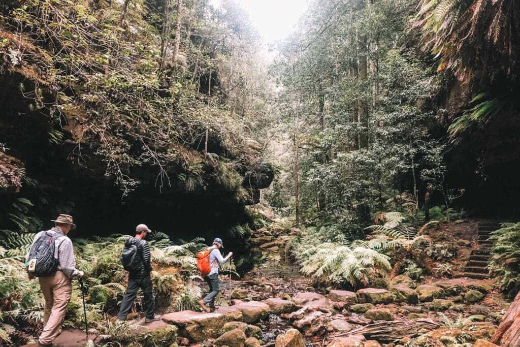 weekend-from-sydney-hiking-blue-mountains - Londoner In Sydney