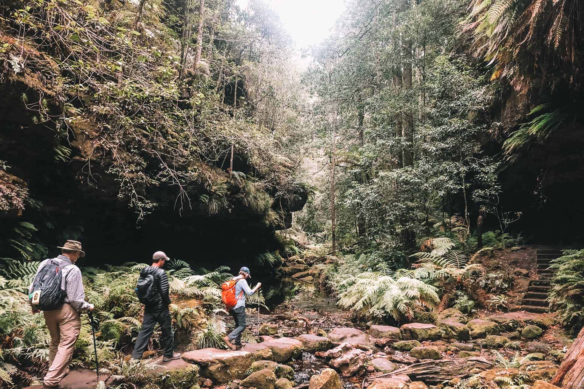 A weekend hiking trip in the mountains hotsell