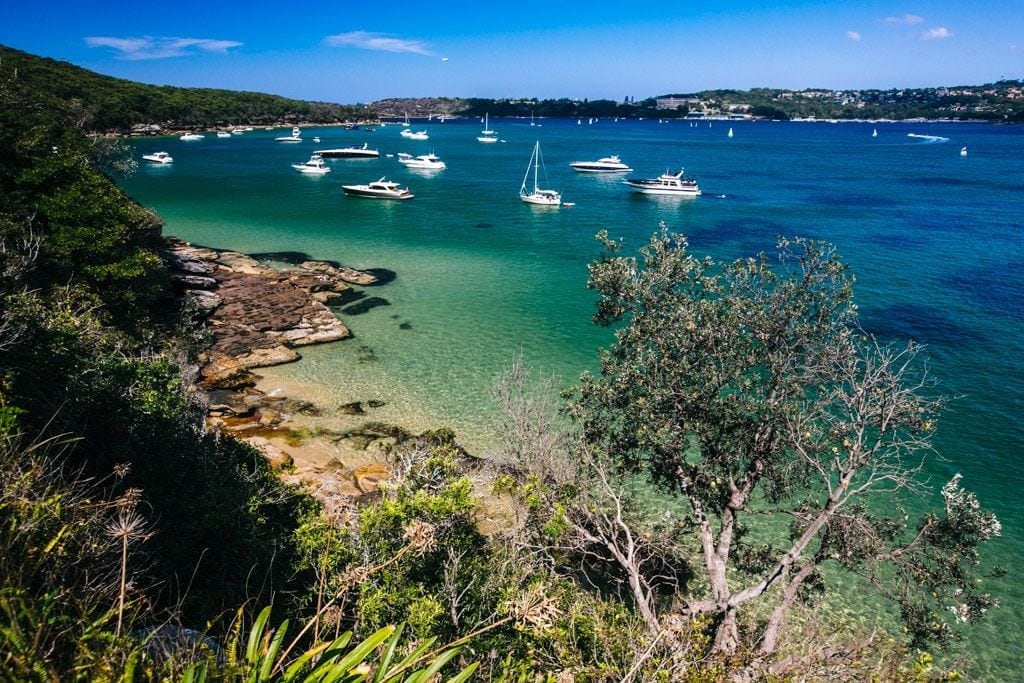 Manly-to-split-walk-1-1