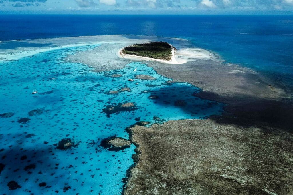 lady-musgrave-island-1 - Londoner In Sydney lady-musgrave-island-1