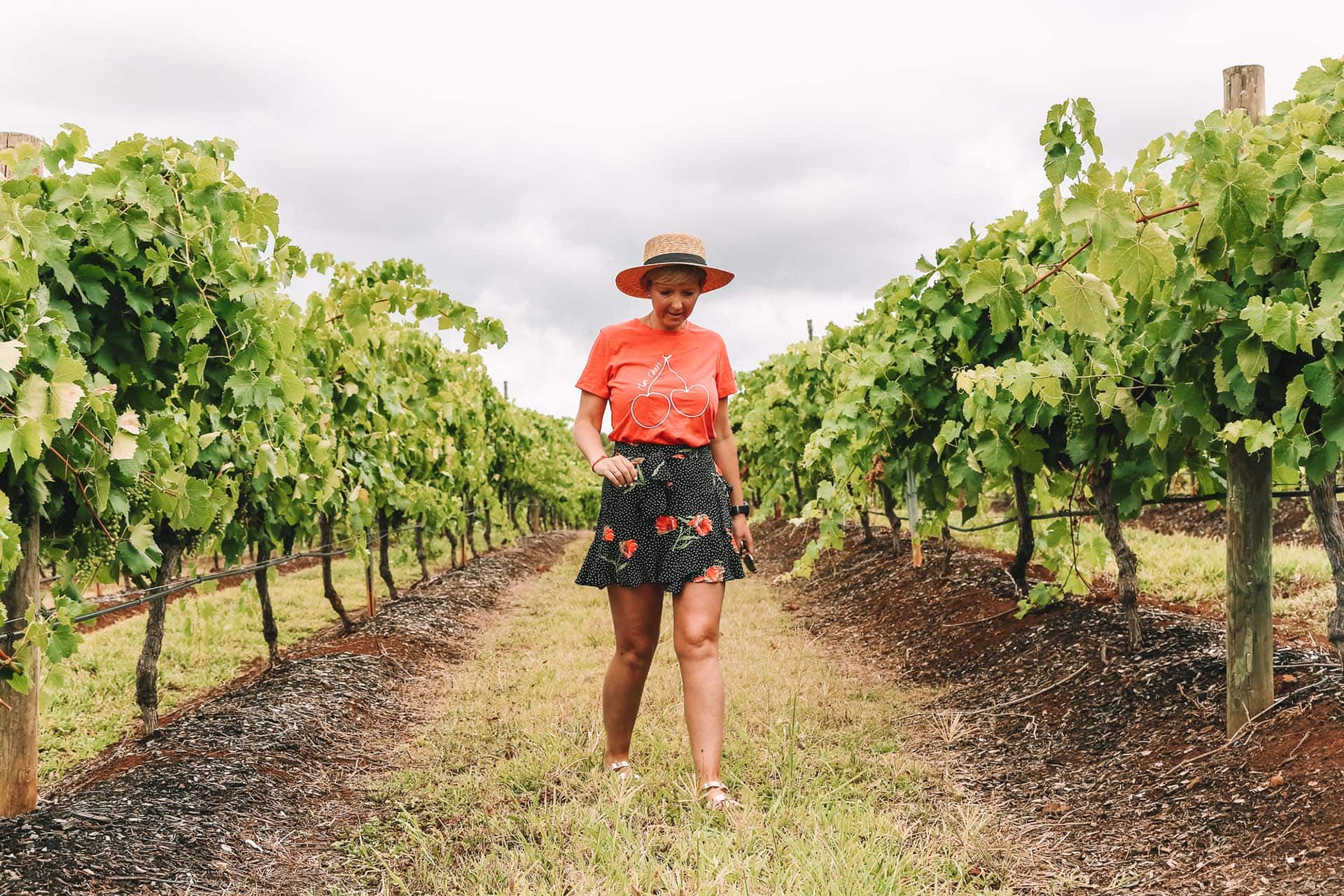 things-to-do-in-hunter-valley-nsw - Londoner In Sydney things-to-do-in-hunter-valley-nsw
