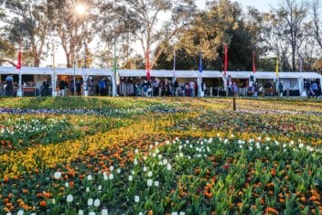 Canberra-floriade-festival-1