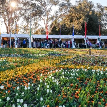 Canberra-floriade-festival-1