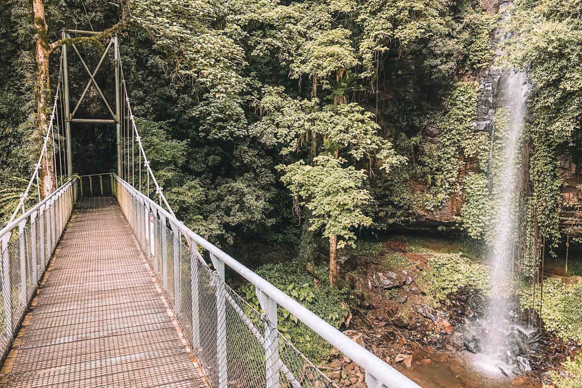 crystal-shower-falls-walk-dorrigo