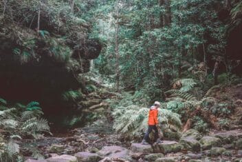 grand-canyon-walk-blue-mountains-1