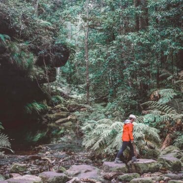 grand-canyon-walk-blue-mountains-1