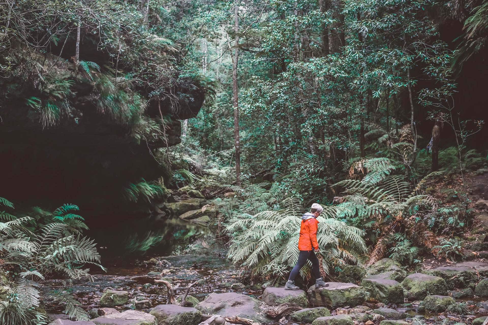 grand-canyon-walk-blue-mountains-1
