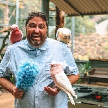 maleny-botanic-gardens-and-bird-world