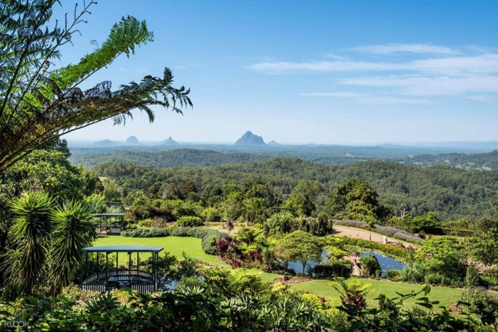 MalenyBotanicGardensandBirdWorldTicketinSunshineCoast - Londoner In Sydney maleny-botanic-gardens-and-bird-world