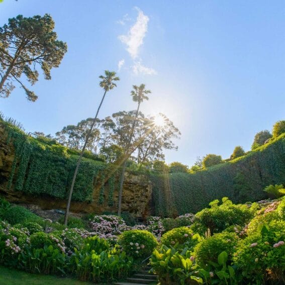 things-to-do-in-mount-gambier