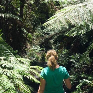 newnes-glow-worm-tunnel-walk
