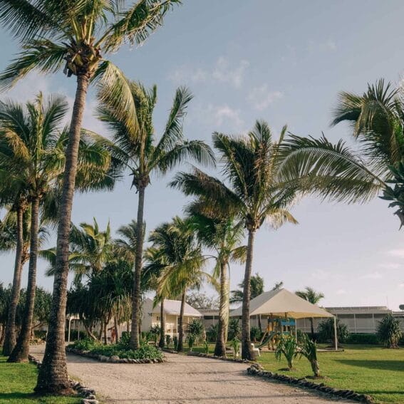 Lady-Elliot-Island-reasons-to-visit copy