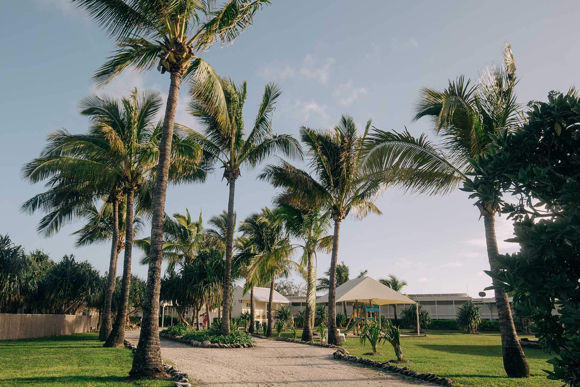 Lady-Elliot-Island-reasons-to-visit copy-southern-great-barrier-reef-islands