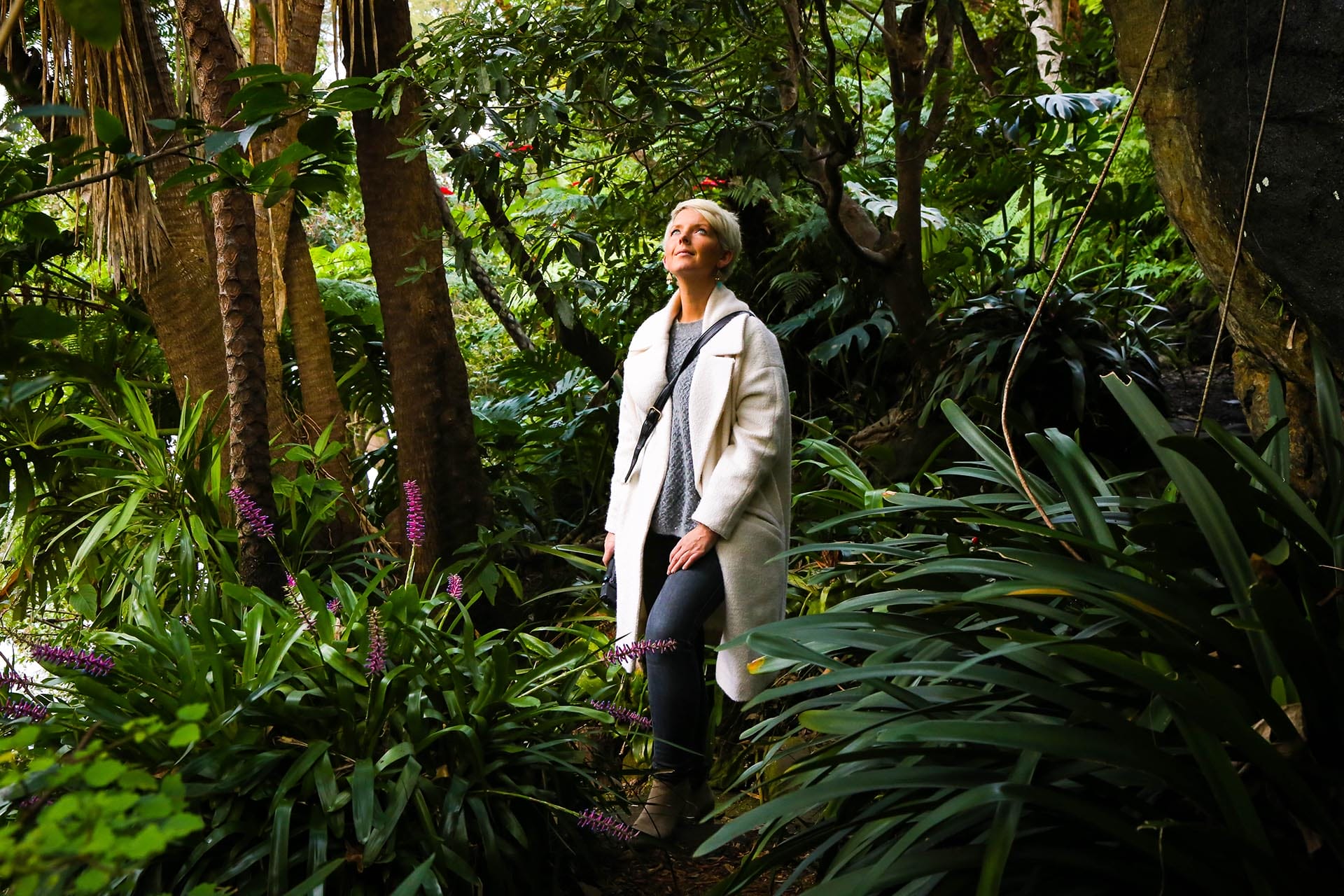 secret-gardens-in-sydney - Londoner In Sydney secret-gardens-in-sydney
