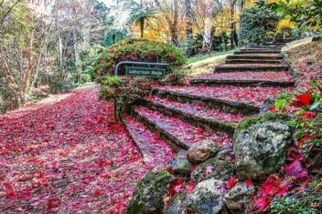 breenhold-gardens-mount-wilson-sydney copy