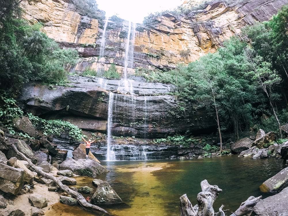 wentworth-falls-blue-mountains - Londoner In Sydney wentworth-falls-blue-mountains