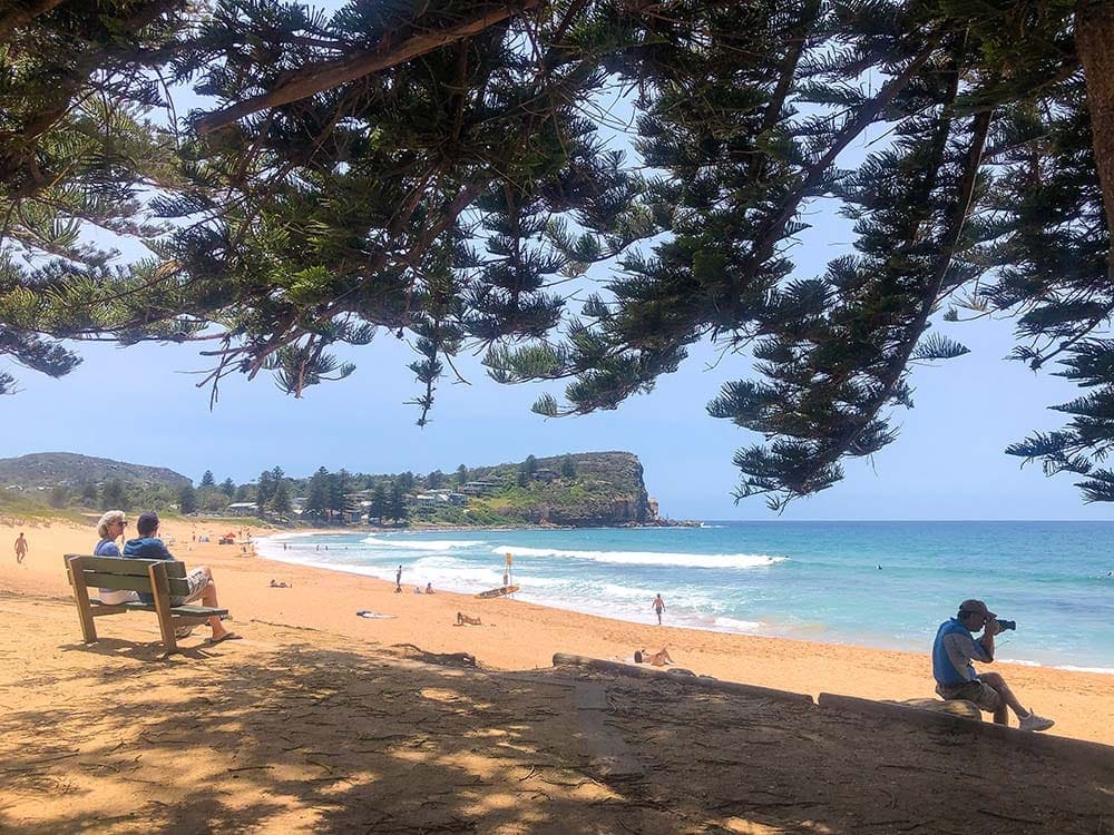 avalon-beach-northern-beaches-sydney