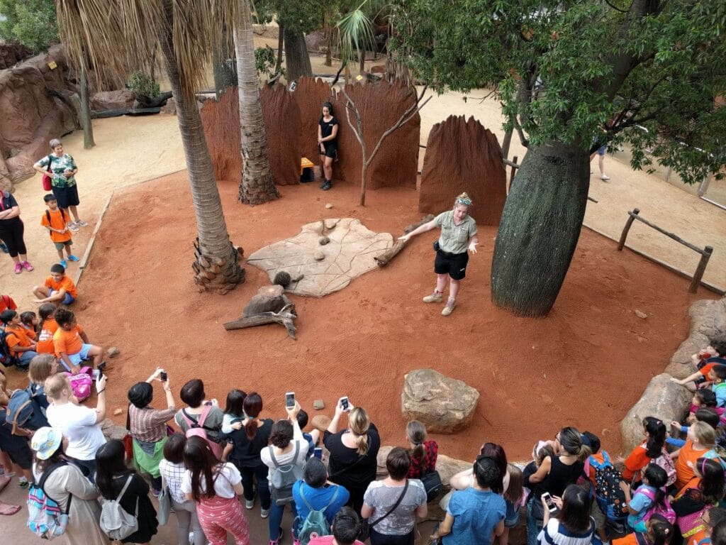 wild-life-sydney-zoo