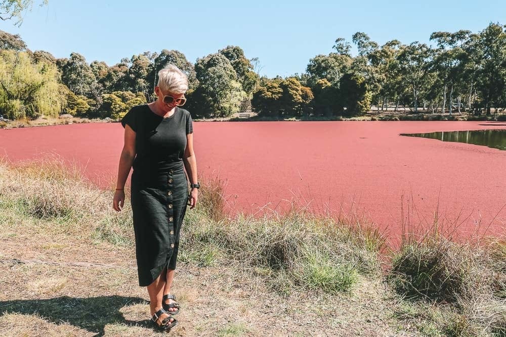 pink-lake-canberra