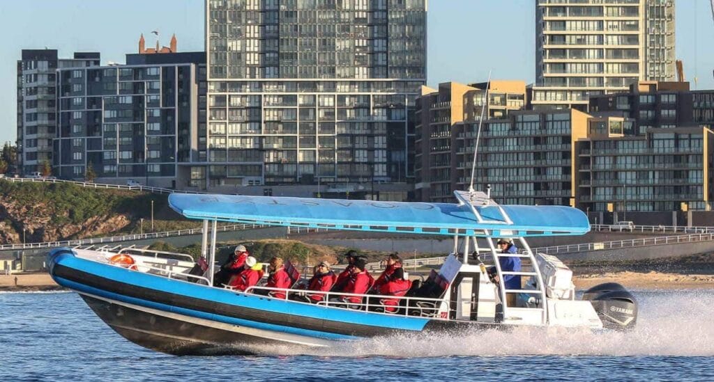 sightseeing-cruise-newcastle-nsw - Londoner In Sydney sightseeing-cruise-newcastle-nsw