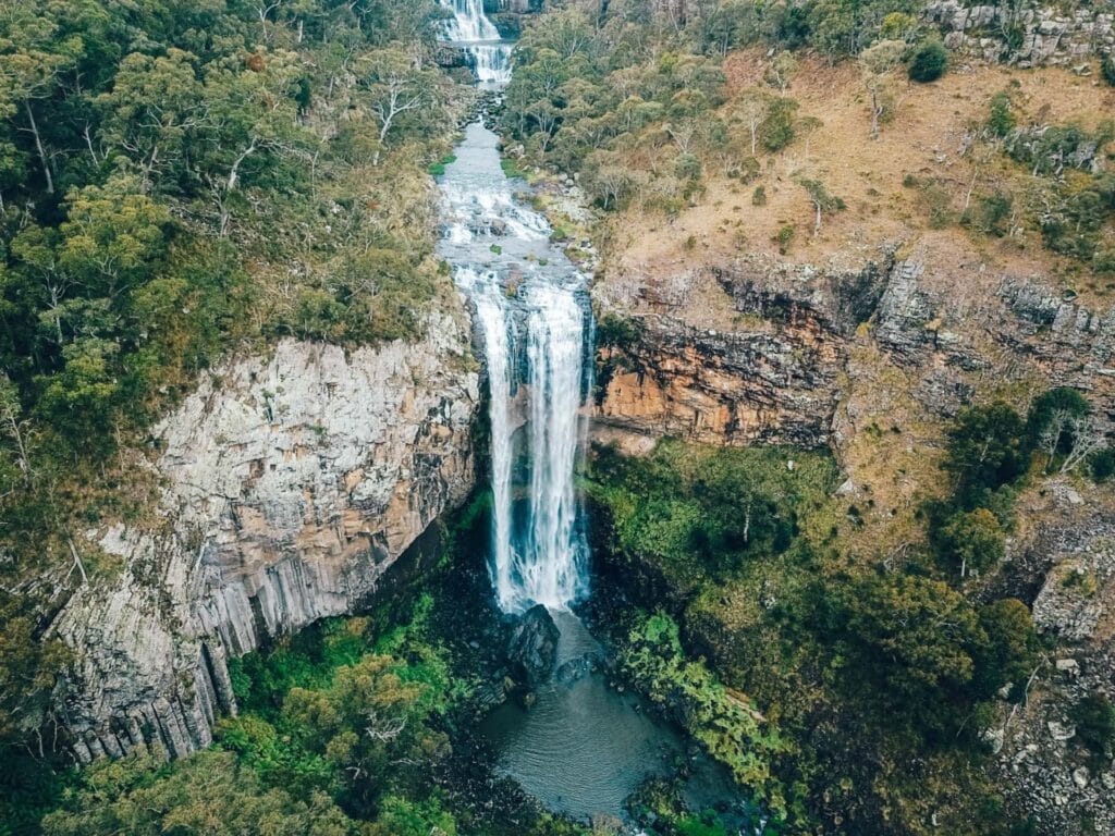 ebor-falls-dorrigo - Londoner In Sydney ebor-falls-dorrigo