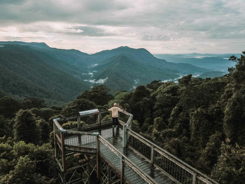skywalk-dorrigo-rainforest-centre - Londoner In Sydney skywalk-dorrigo-rainforest-centre
