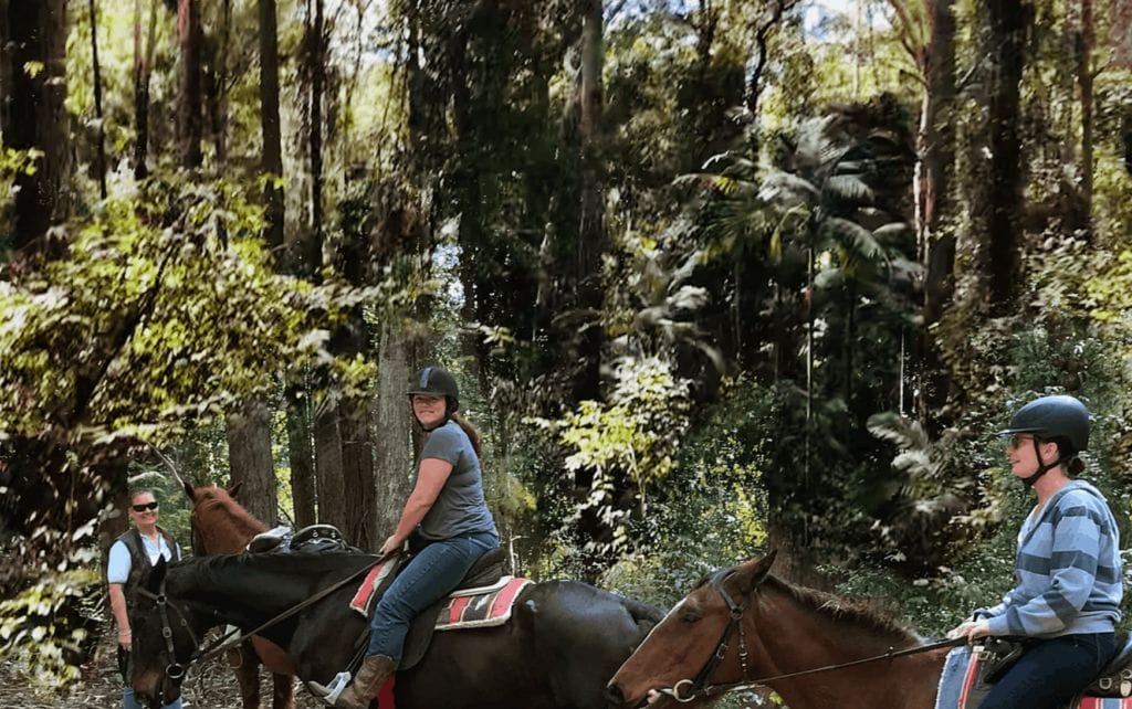 valery-trails-horse-riding-bellingen