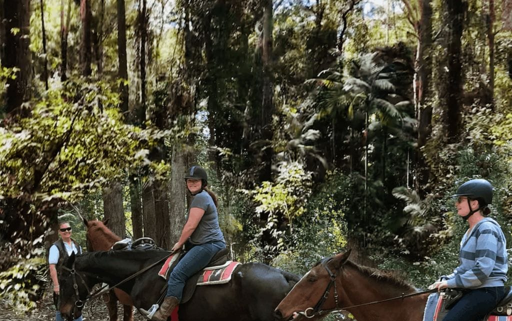 valery-trails-horse-riding-bellingen - Londoner In Sydney valery-trails-horse-riding-bellingen