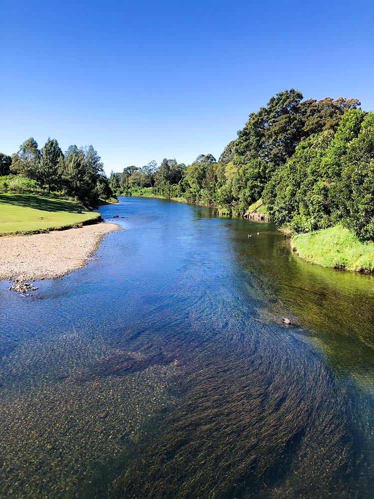 bellingen-river - Londoner In Sydney bellingen-river