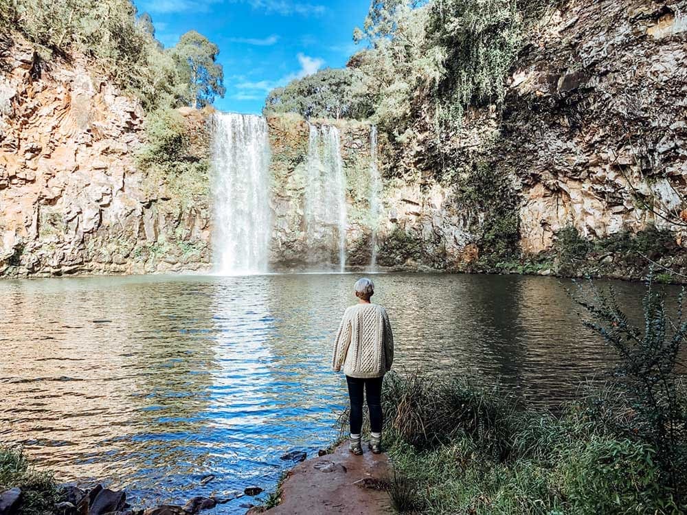 Dangar-Falls-Dorrigo-National-Park - Londoner In Sydney Dangar-Falls-Dorrigo-National-Park