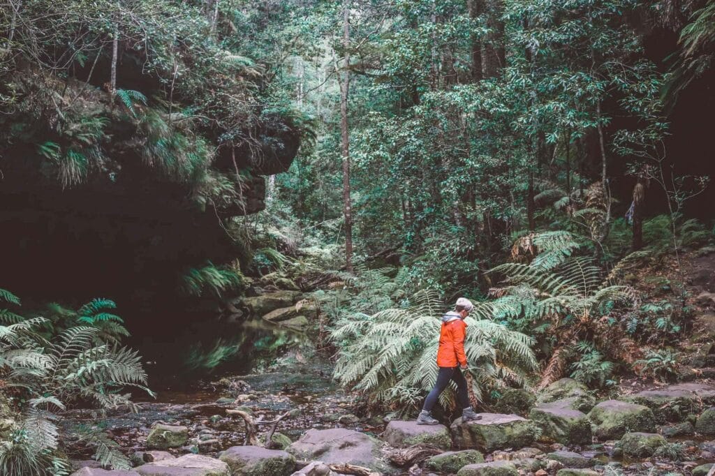 blue-mountains-day-hike - Londoner In Sydney blue-mountains-day-hike