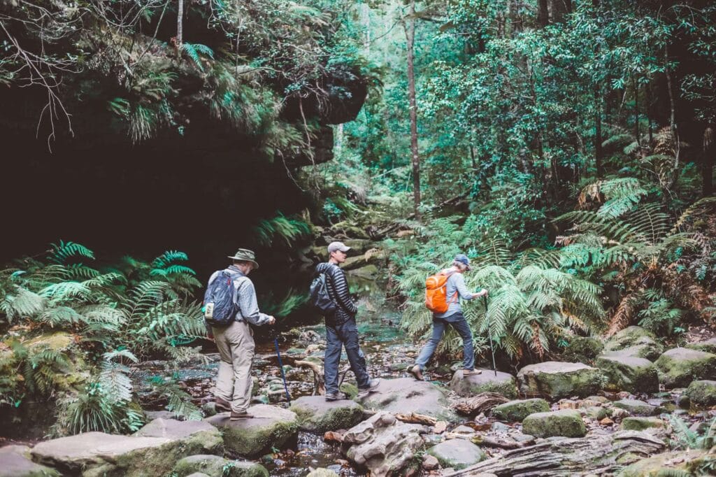 blue-mountains-walking-tracks-grand-canyon - Londoner In Sydney blue-mountains-walking-tracks