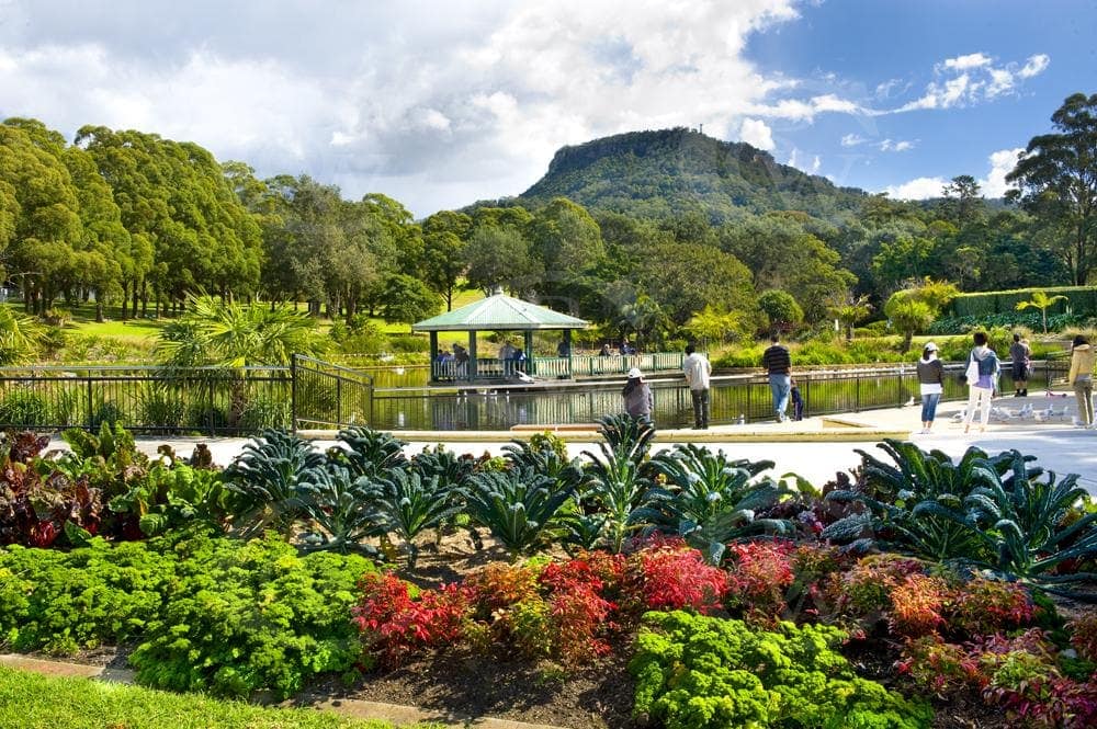 wollongong-Botanic-Gardens