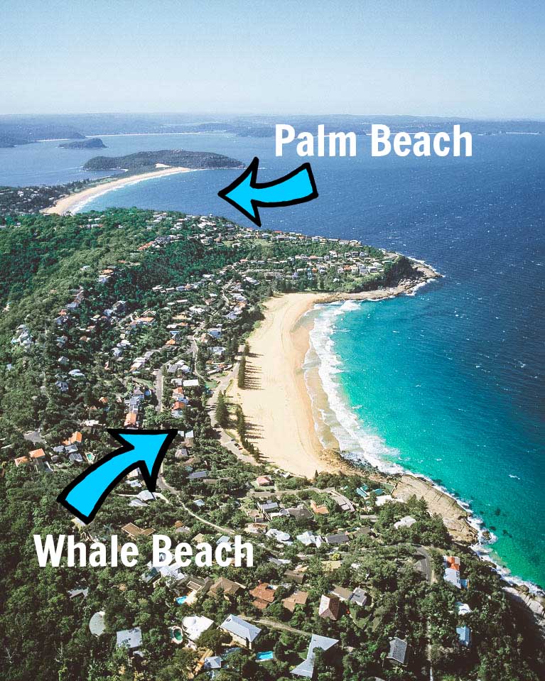whale-beach-palm-beach-ariel-shot - Londoner In Sydney whale-beach-palm-beach-ariel-shot