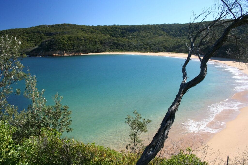 secret-beaches-in-sydney-maitland-bay