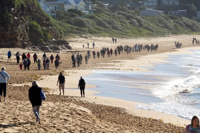 5-winter-lands-walk-avoca