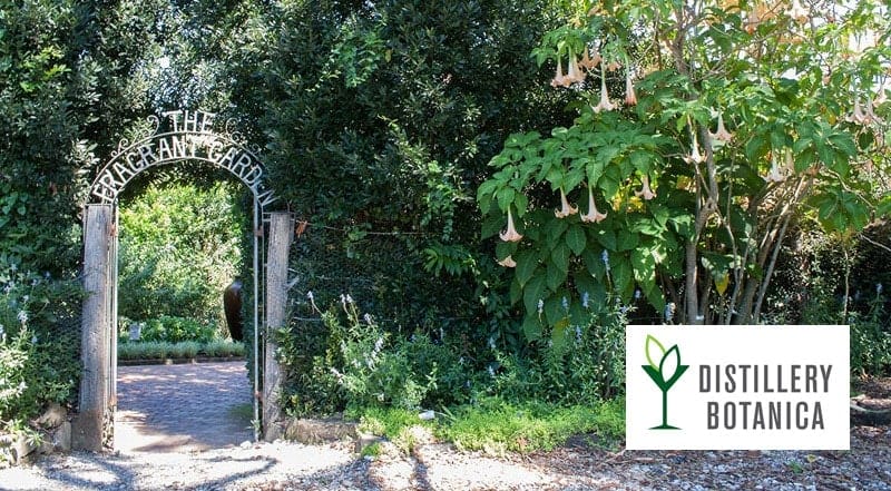 Distillery-Botanica-gosford