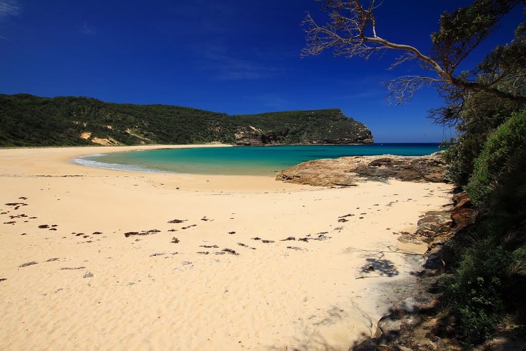 steamers-beach-jervis-bay