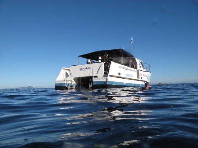 things-to-do-in-port-stephens-boat