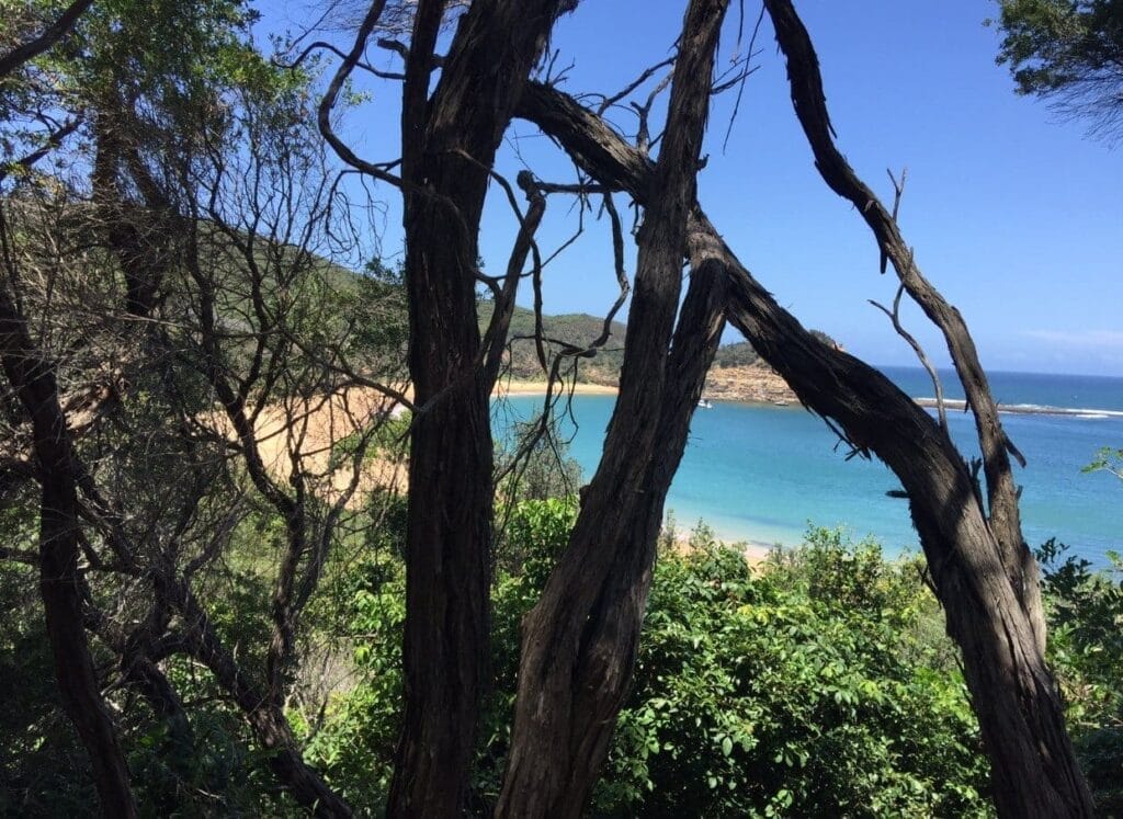 maitland-bay-sydney-beach - Londoner In Sydney maitland-bay-sydney-beach