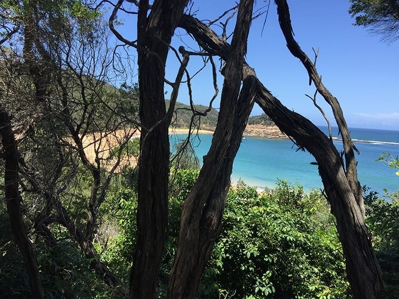 maitland-bay-best-secluded-beaches-in-sydney