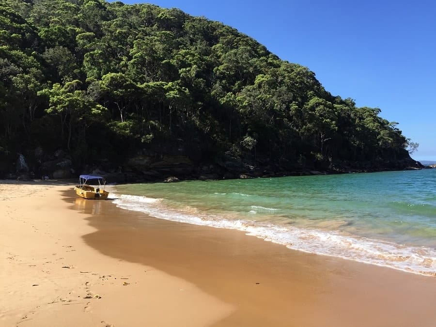mackeral-beach-sydney