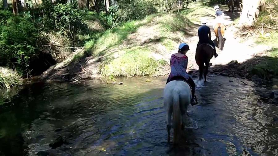 glenworth-valley-horse-riding-fun-date-in-sydney