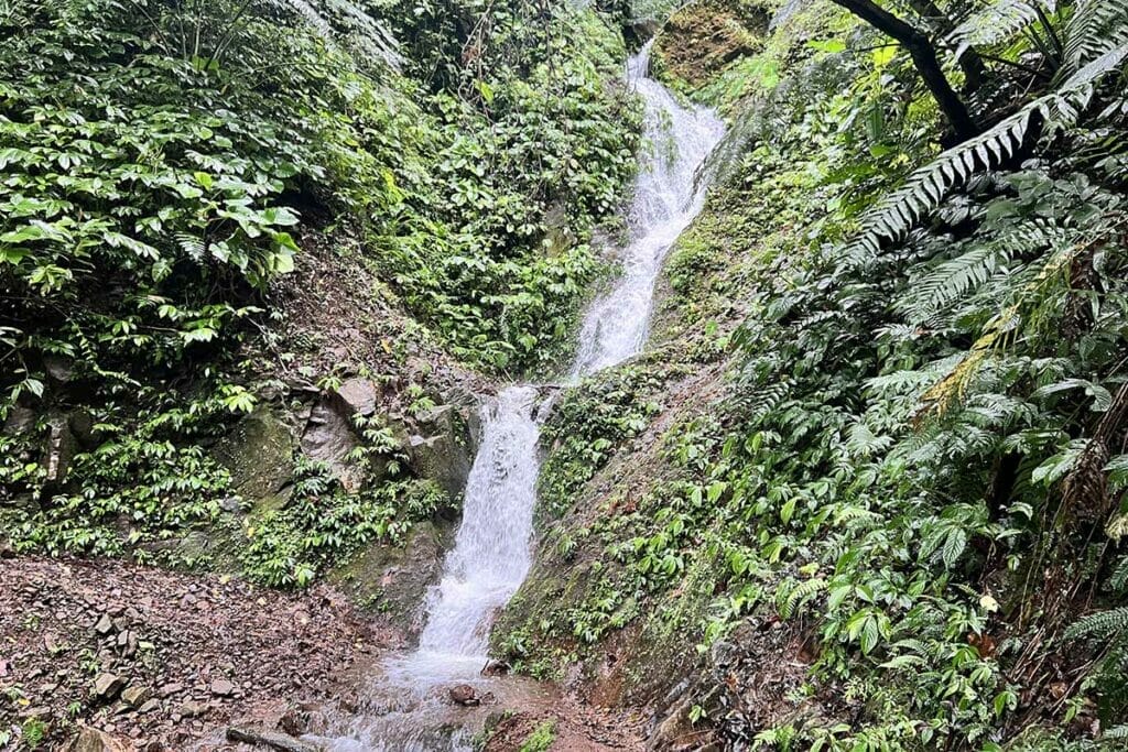 wae-rebo-hike