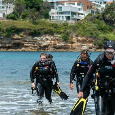 scuba-diving-in-sydney-pro-dive