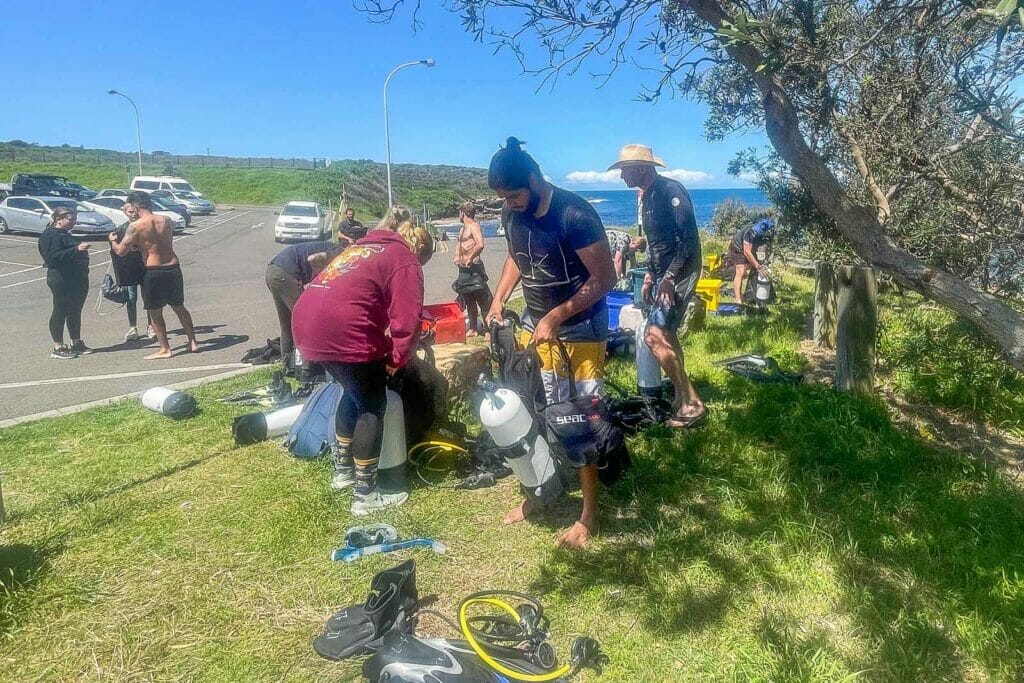 scuba-diving-in-sydney-pro-dive - Londoner In Sydney scuba-diving-in-sydney-pro-dive